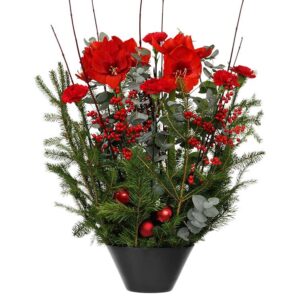 Hög julgrupp med amaryllis, ilex, nejlika och tall . Ur Interfloras julsortiment.