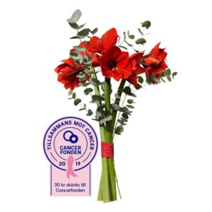 Bukett med röda snittamaryllis och eucalyptus. Ur Interfloras julsortiment.