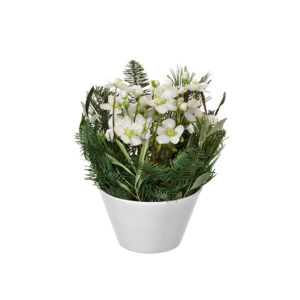 Vit julros i kruka. En liten söt julgrupp som du hittar hos Interflora. Beställ ett blomsterbud i onlinebutiken!