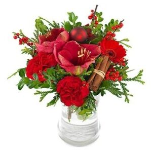 En fantastisk julbukett med röda amaryllisar, röda blommor, kanel, röda bär och grönt. Skicka blommorna med bud via Euroflorist!
