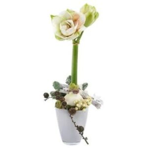Vit amaryllisplantering i vit kruka, med stämningsfullt pynt i basen. Beställ blomsterarrangemanget hos Euroflorist - skicka med blombud!