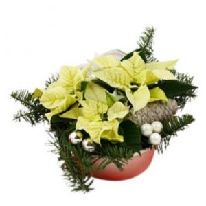 Rund, låg julgrupp med vita julstjärnor, gran, julkulor och kottar. Skicka julgruppen med ett blomsterbud från Florister i Sverige!