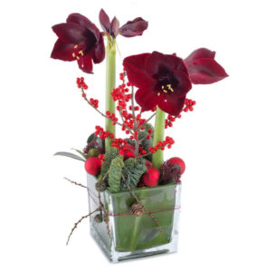Glaskruka med röda amaryllis, ilexbär och julpynt. Låt floristen skapa! Blommorna hittar du hos Euroflorist.