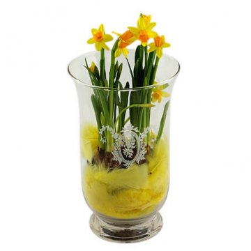 Påskplantering med gula minipåskliljor i hög glasvas. Blommorna finns hos Florister i Sverige!